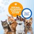 Kattenhalsband airtag 4