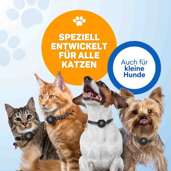 whippet halsbänder Blaues Halsbänder für Windhunde aus Leder| Timotèo Milano main image 1