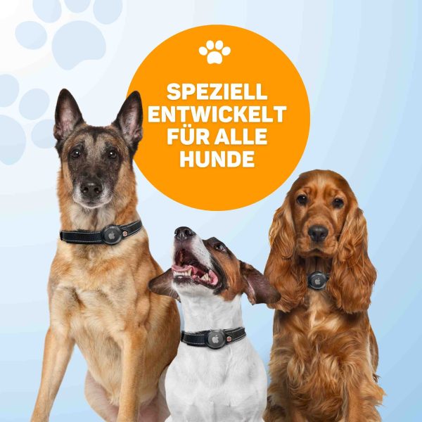 Hundehalsband AirTag 4