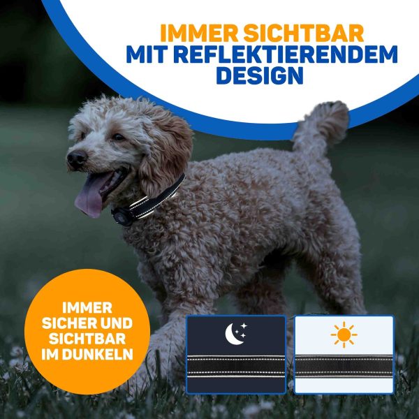 Hundehalsband AirTag 6