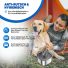 Trinknapf für Hunde 3L 6