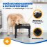 Erhöhter Futter für Hunde 5