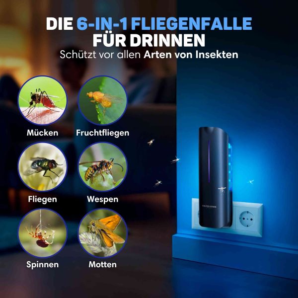Fliegenfalle 2