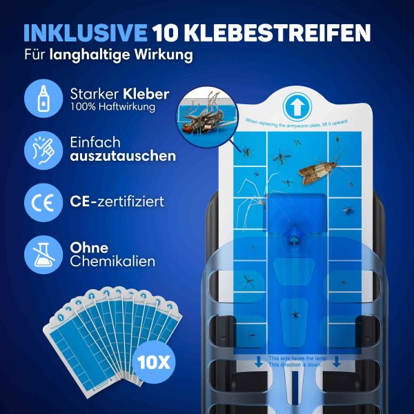 Fliegenfalle 3